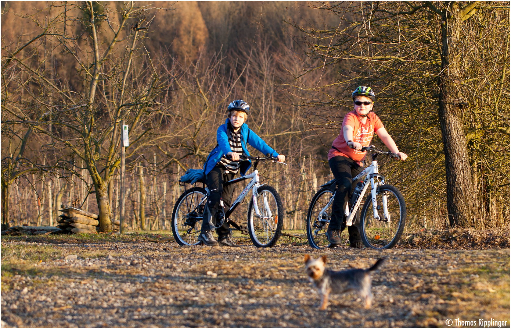 Radtour in der Obstanlage.....