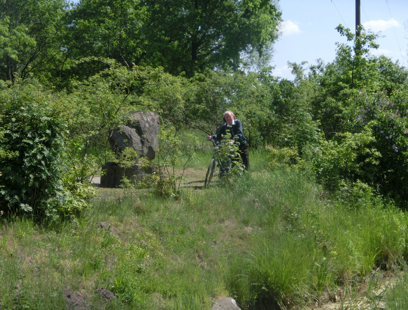 Radtour mit 89 im Drömling - gelöst von Gert Rehn