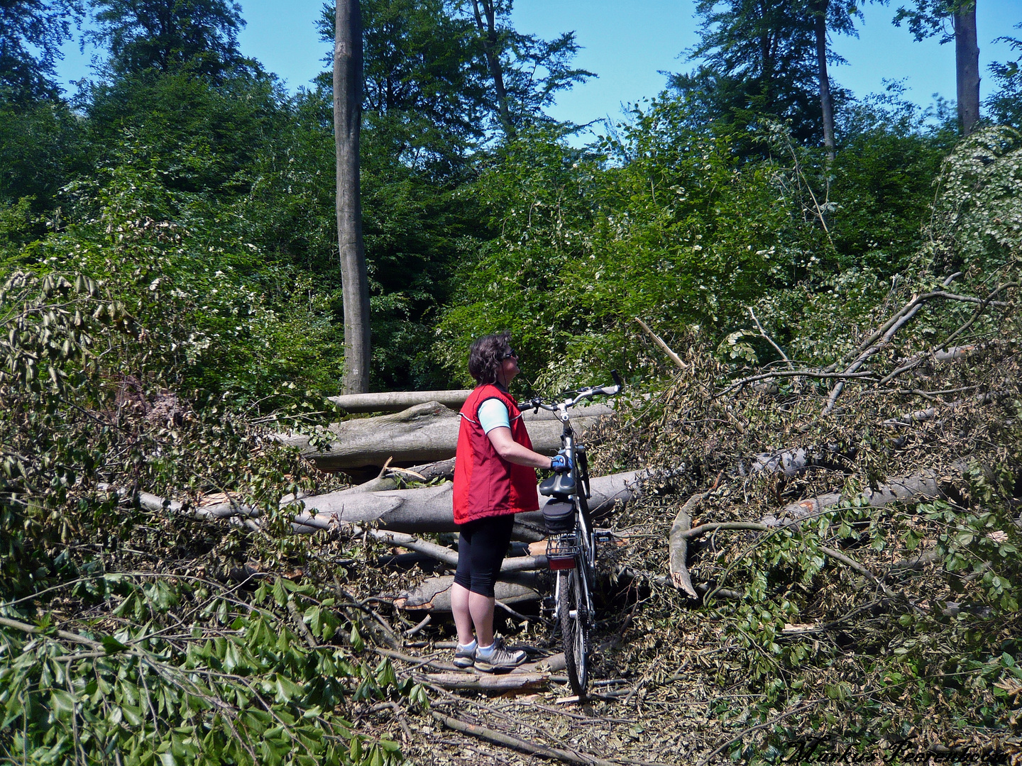 Radtour mit Hindernissen