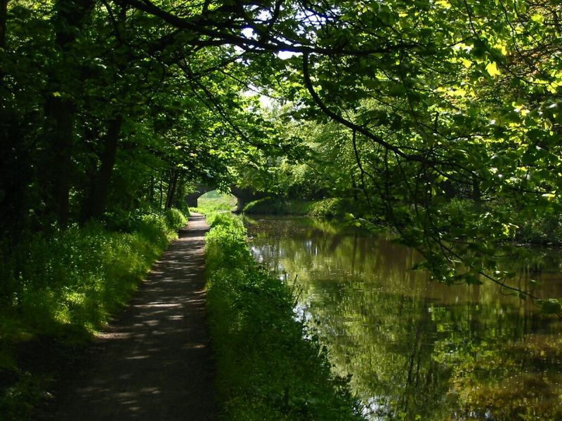 Radweg am Union Canal