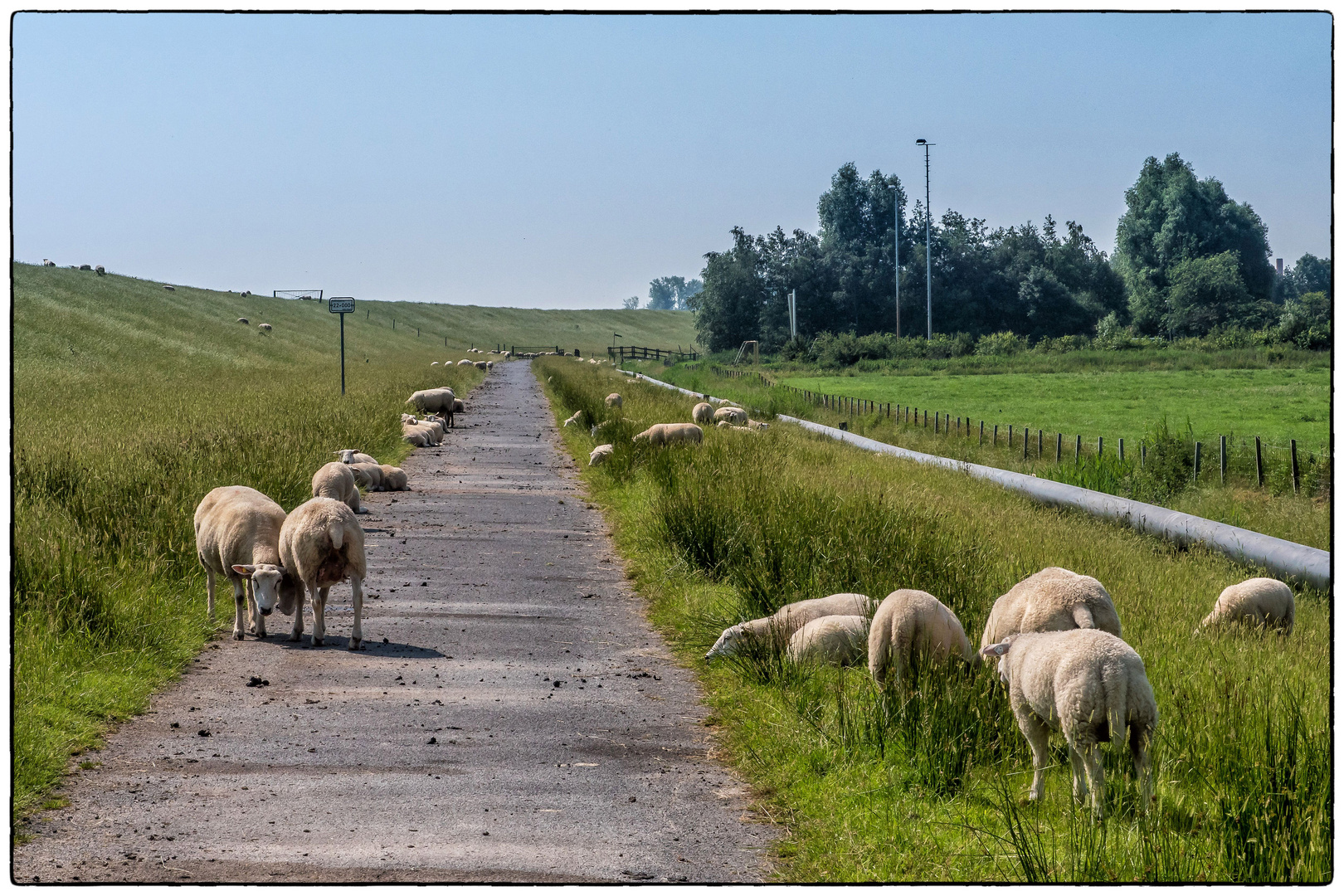 Radweg an der Ems