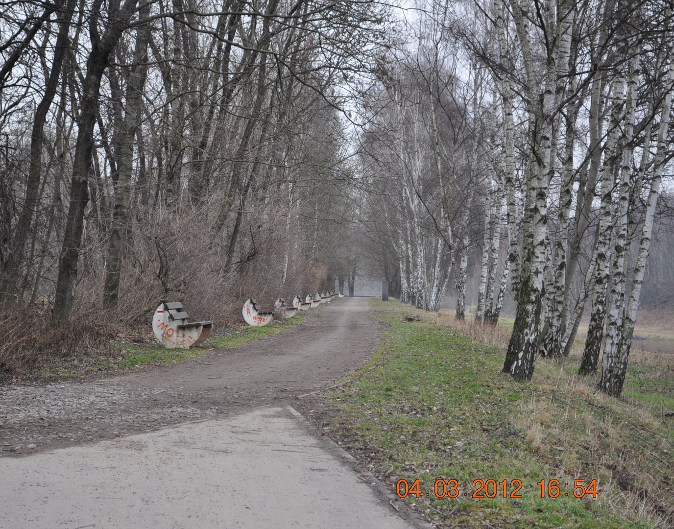 Radweg an der Mulde