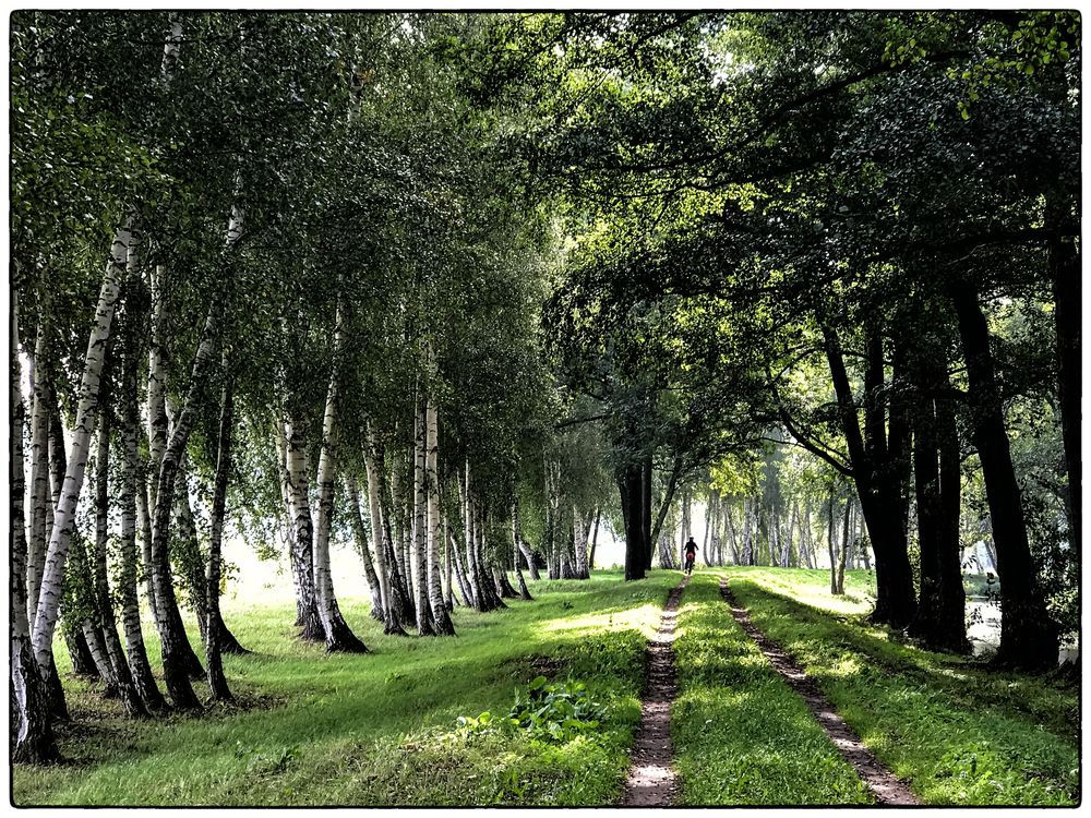 Radweg an der Spree