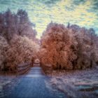 Radweg auf bayerisch 