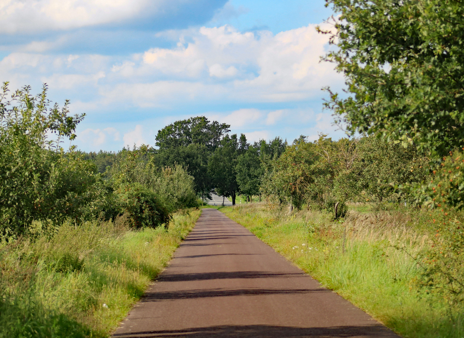 Radweg auf meiner Tour