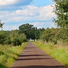 Radweg auf meiner Tour