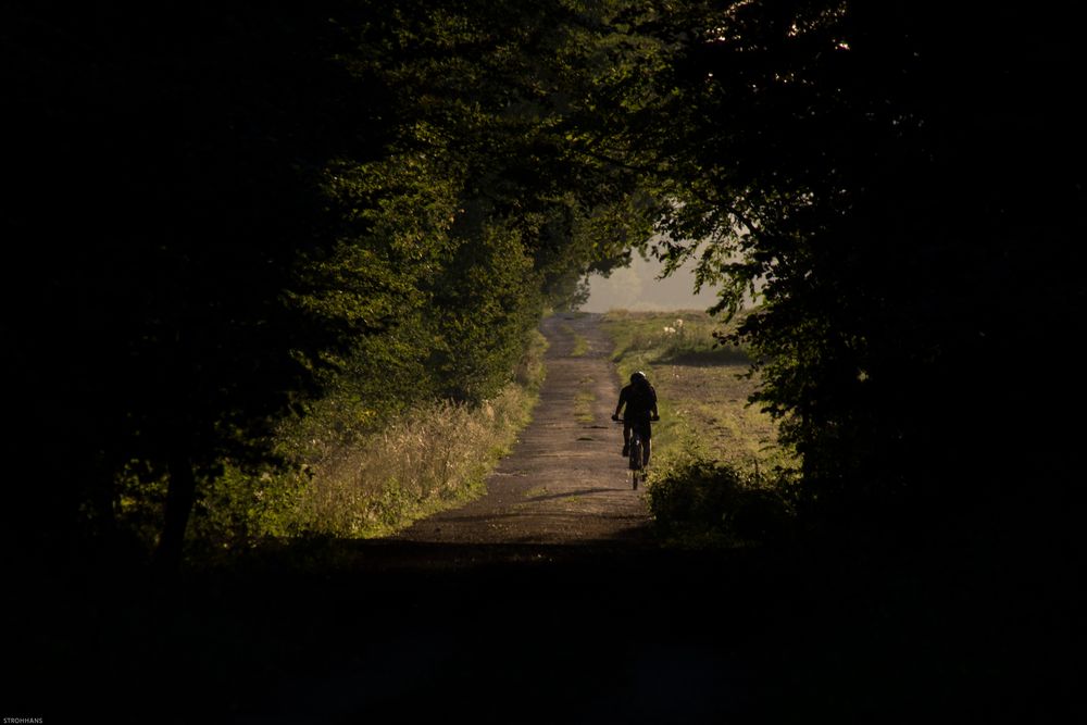 Radweg aus dem Wald-Tunnel