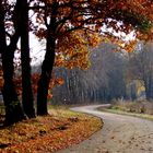 Radweg durch die Lausitz