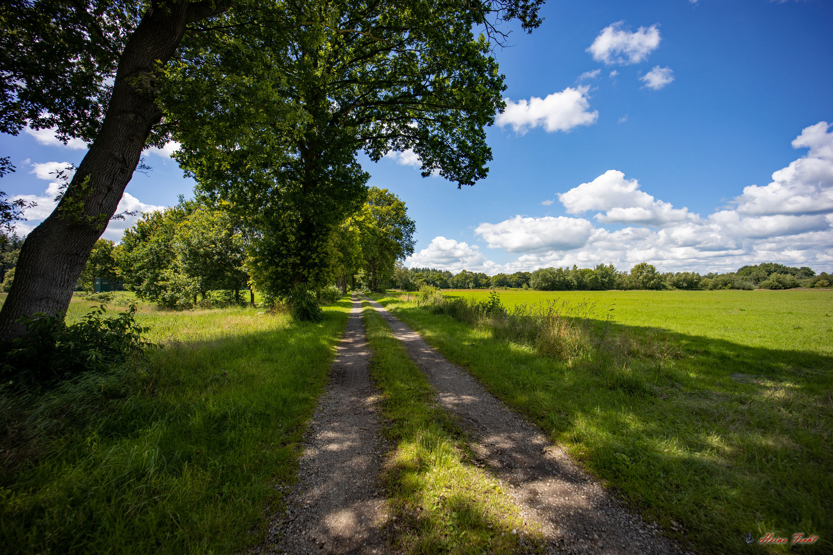 Radweg durch die Natur 