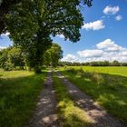 Radweg durch die Natur 