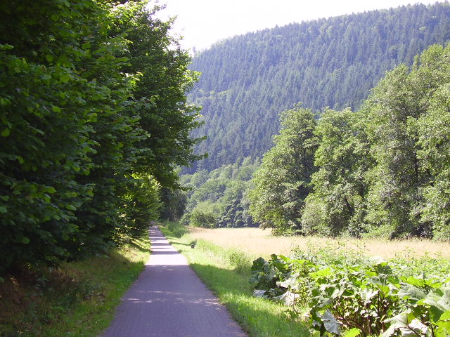 Radweg entlang der Nagold