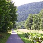 Radweg entlang der Nagold