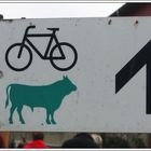 Radweg für Kühe? .. oder was.......