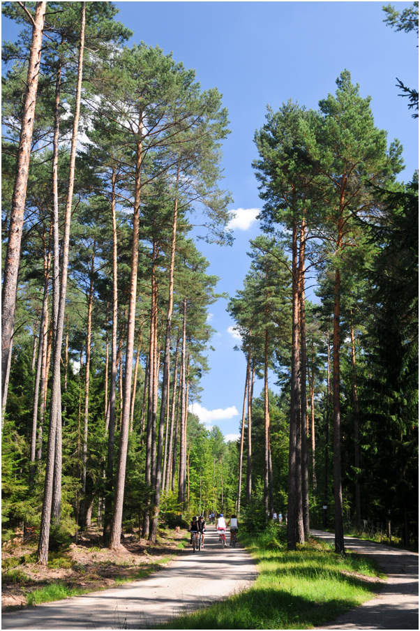 Radweg & Fußweg zum Brombachsee