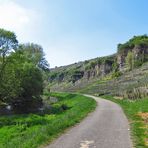 Radweg im Enz-Tal am Palmsonntag