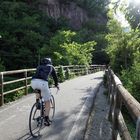 Radweg im Grünen.