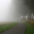 Radweg im Nebel