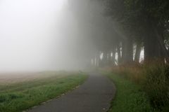 Radweg im Nebel