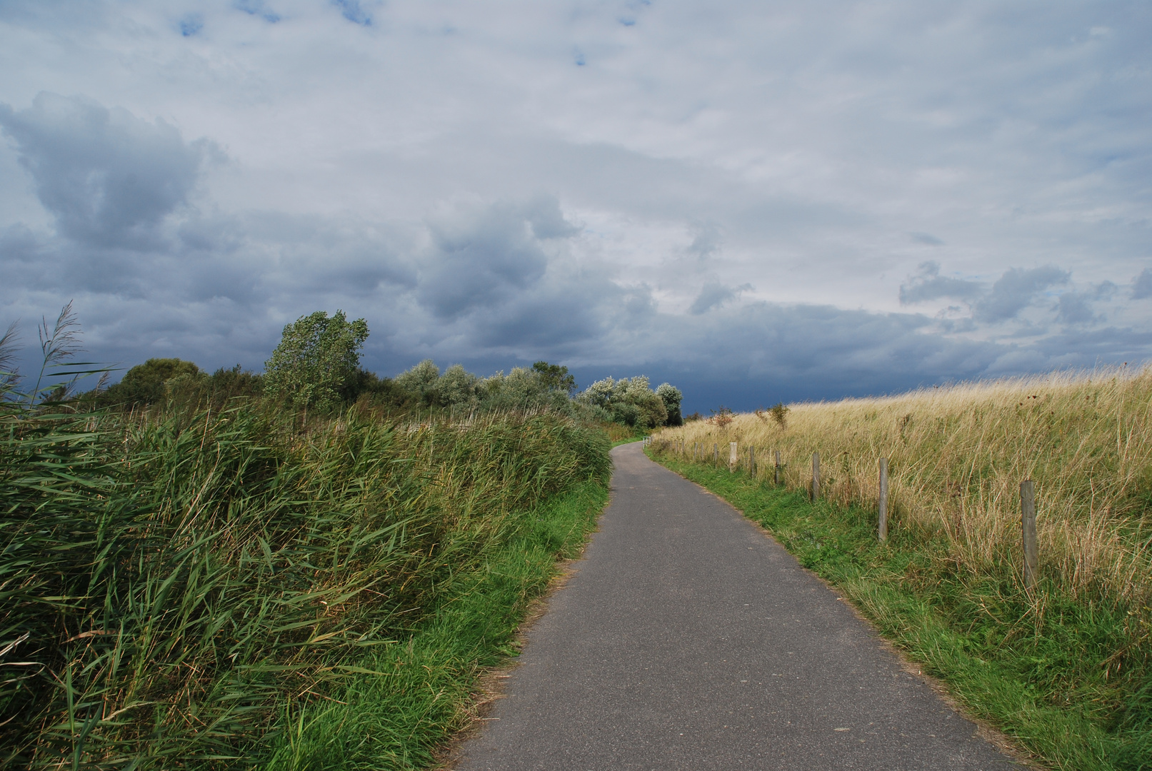 Radweg in der Birk