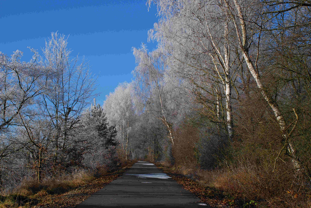 Radweg mit Rauhreif