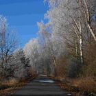 Radweg mit Rauhreif