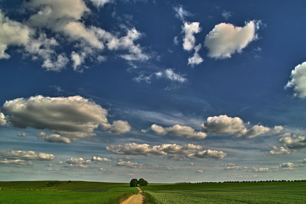 Radweg nach Alzey