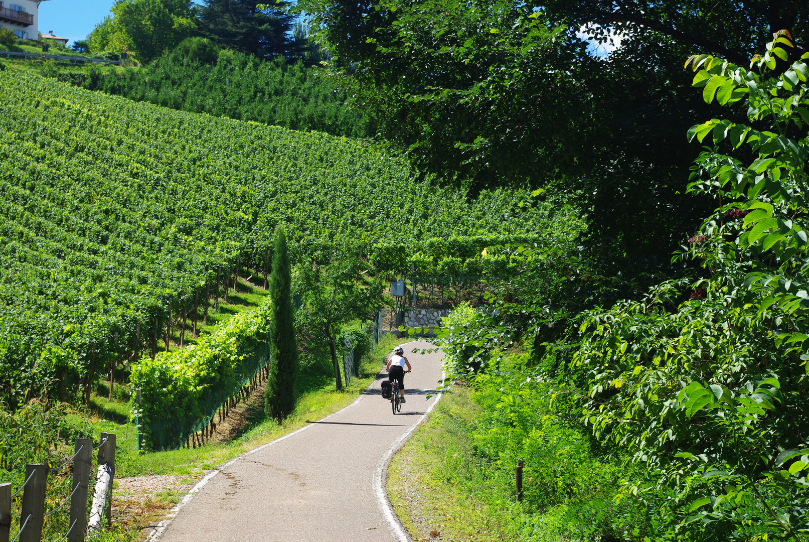 Radweg nach Eppan