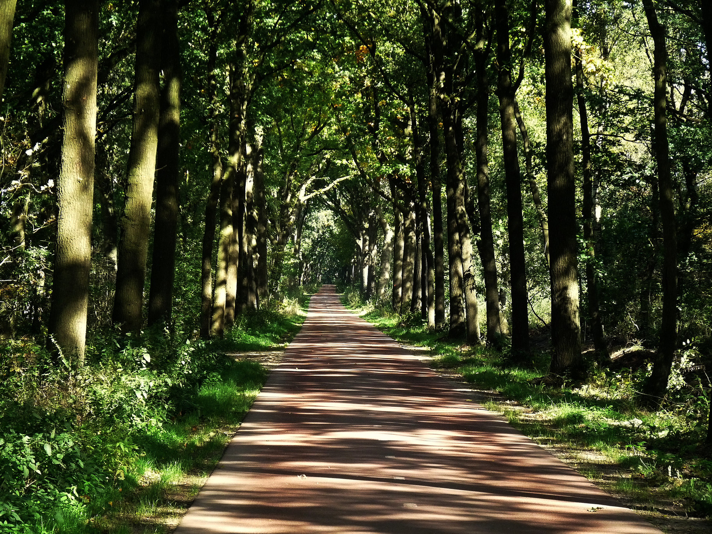 Radweg nach Holland