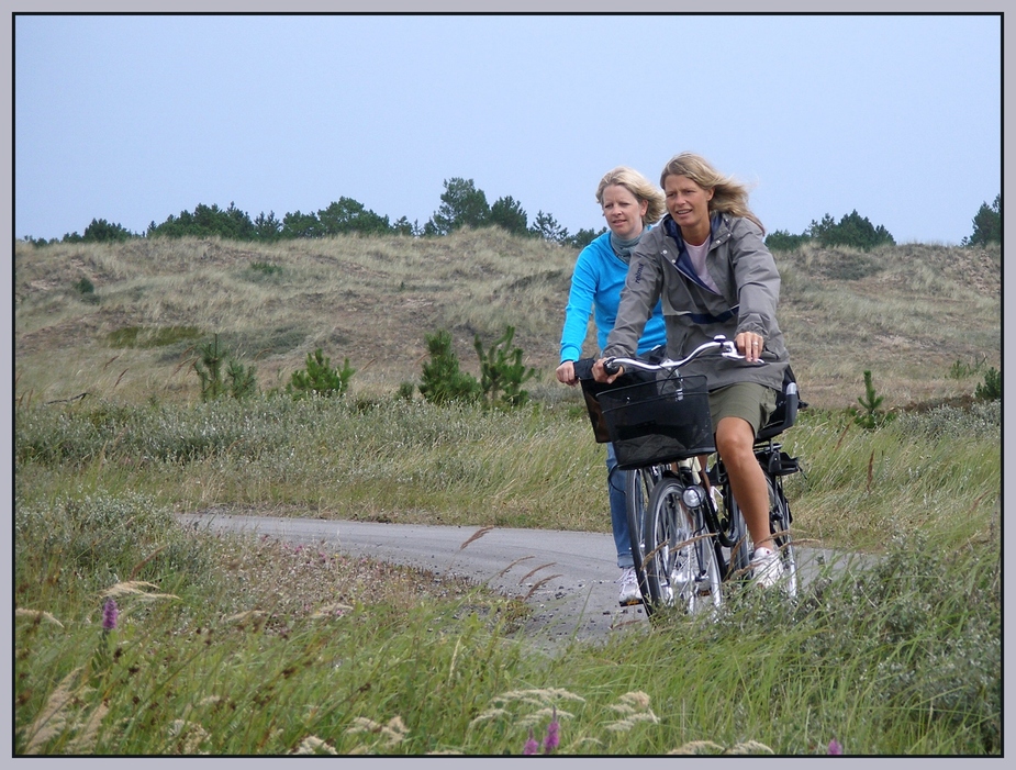 Radweg nach Skagen