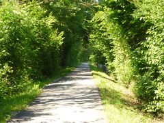 Radweg von Emmen nach Luzern ...