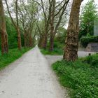 Radweg von Konstanz zur Insel Mainau