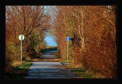 Radweg von Wien ins Weinviertel