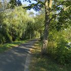 Radweg Werra-Nordsee zwischen Werra und Werratalsee