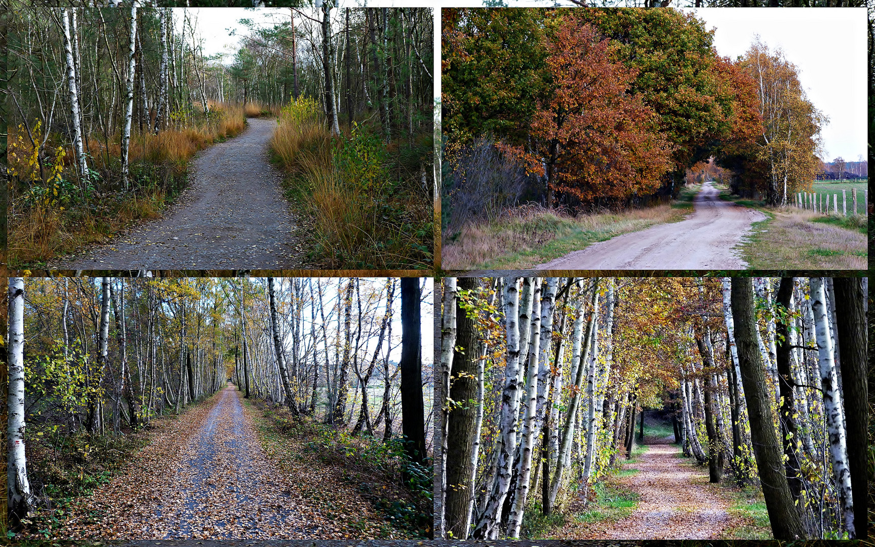 Radwege im Herbst!