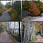 Radwege im Herbst!