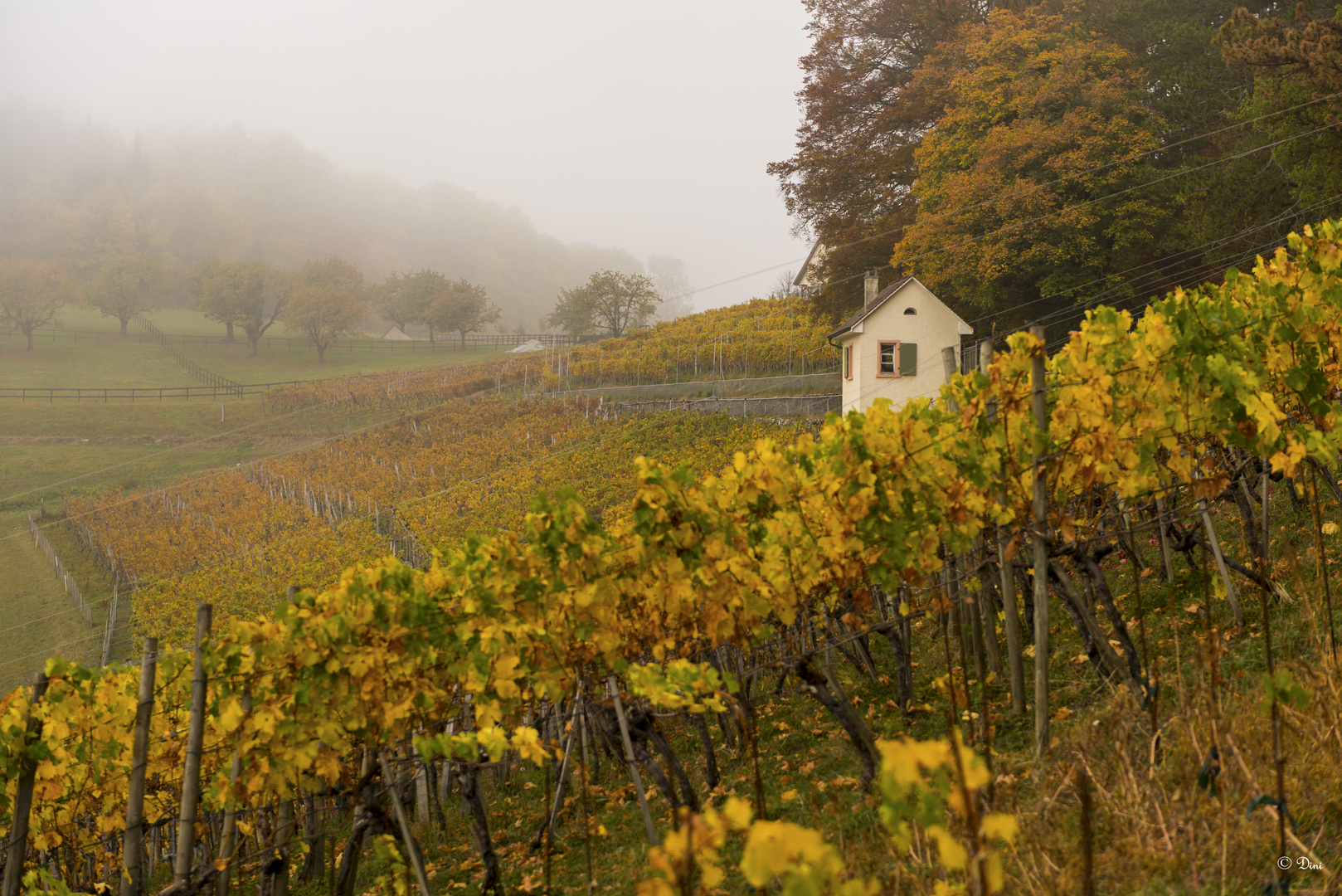 Räbhüüsli Herbst