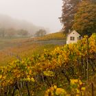 Räbhüüsli Herbst