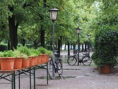 Räder im Hofgarten