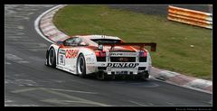 Raeder Motorsport, Lamborghini Gallardo