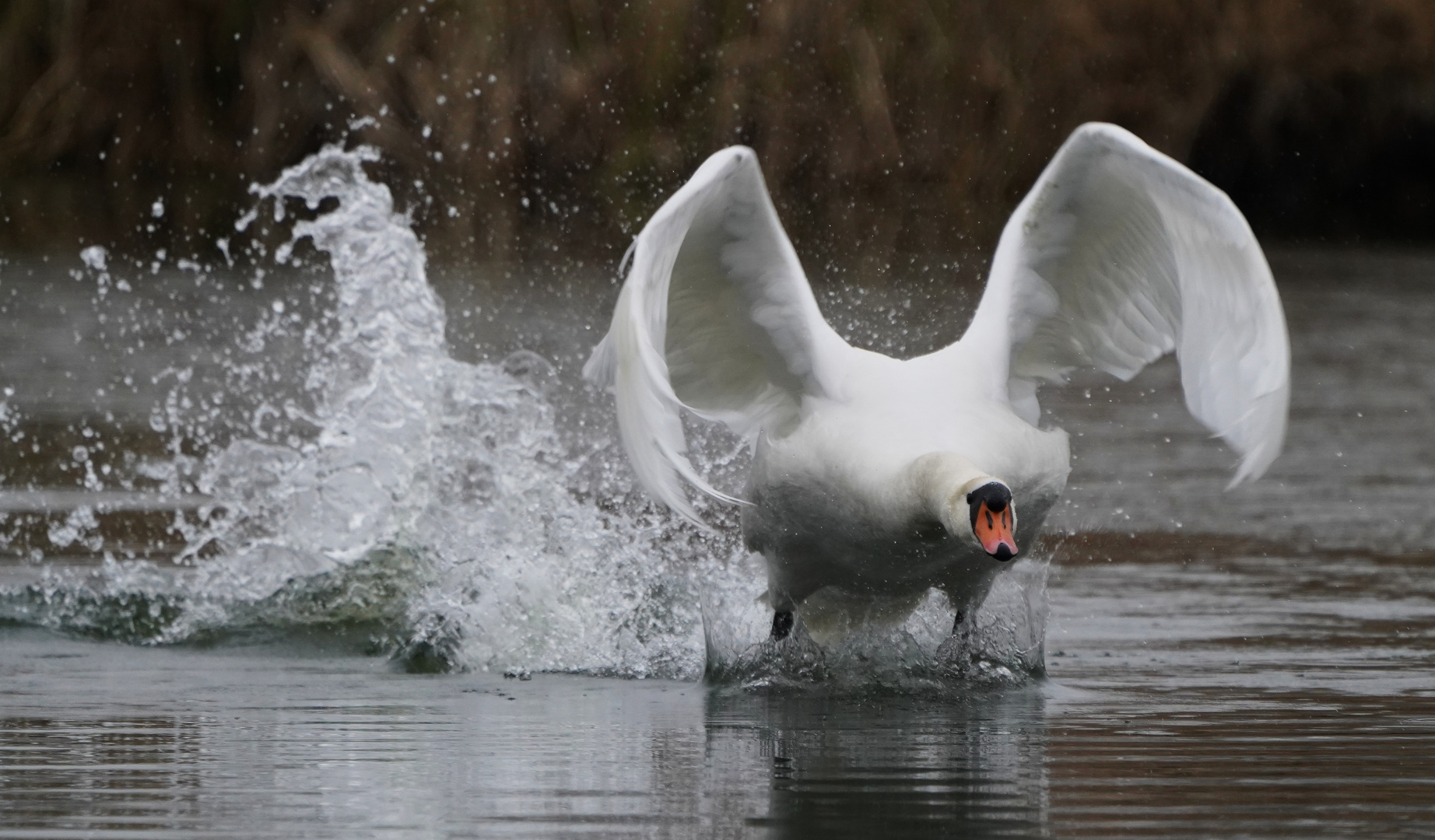 Raedy For Take Off.