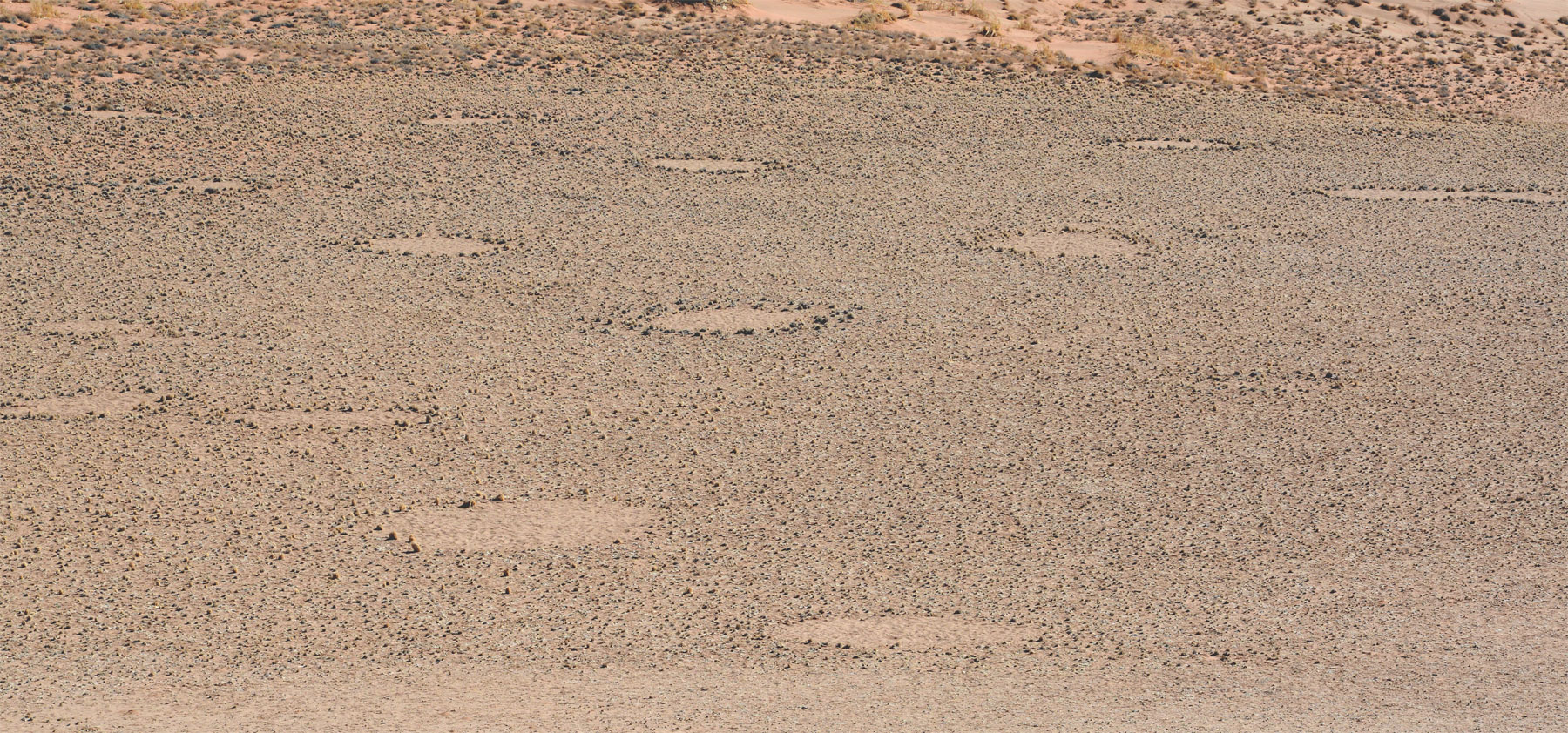    Rätselhafte Kreise in der Namib