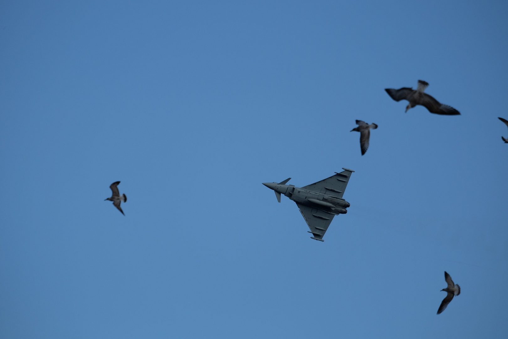 RAF Typhoon 400M