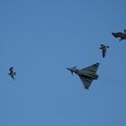 RAF Typhoon 400M