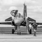 Rafale solo Display