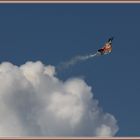 Rafale Solo Display Dassault Air14 Payerne Detail ©  IMG_1078 FRA AA (8)