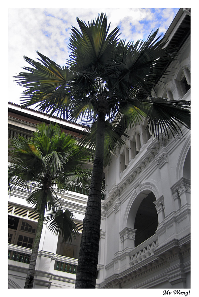 Raffles Hotel - a beautiful place!