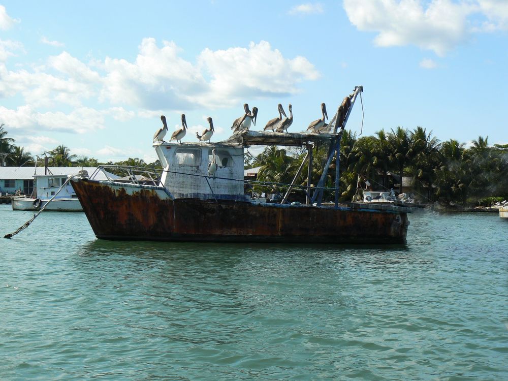 rafiot sur les eaux du rio DULCE