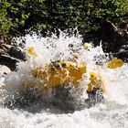 Rafting auf der Lütschine 2