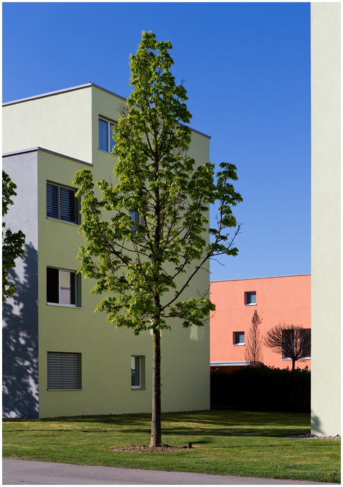 Rafzer Frühling