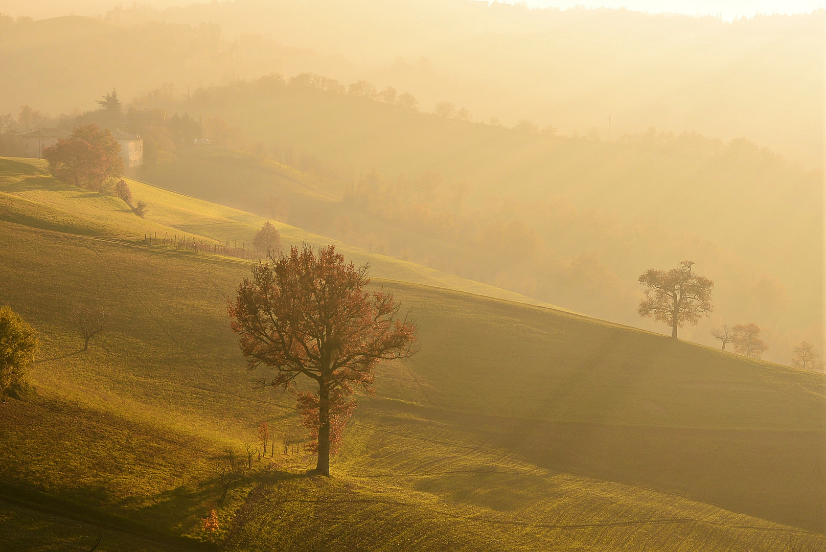 Raggi di luce